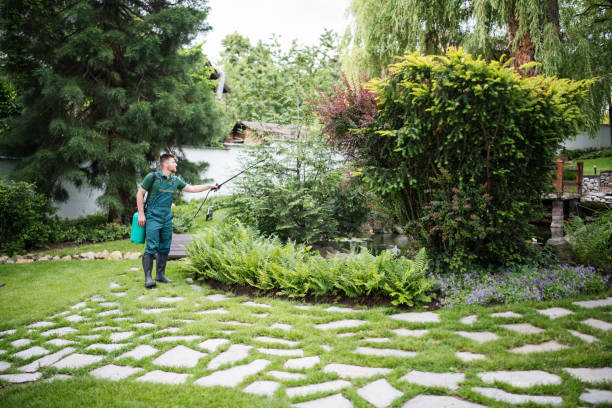 Best Pest Control for Businesses  in Falling Water, TN