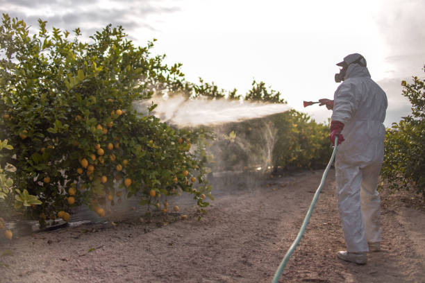 Best Cockroach Control Services  in Falling Water, TN