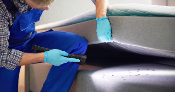 Best Affordable Pest Control Services  in Falling Water, TN