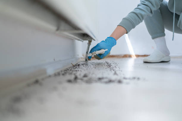 Best Insect Control  in Falling Water, TN